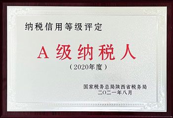 A级纳税人2020